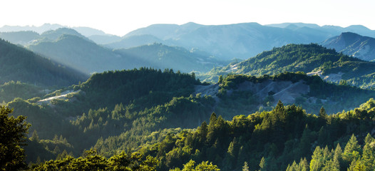 View of the hills, mountains, forest and valleys and many peaks of Armstrong Woods in California USA