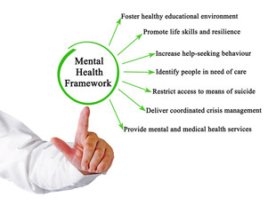 Components of Mental Health Framework