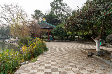 garden of southern Changjiang delta in China