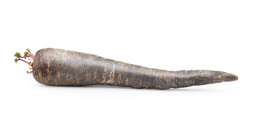 Purple carrots isolated on white background.