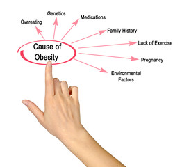 Presenting Seven Causes of Obesity.
