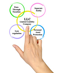  Limited  Liability Company (LLC) benefits