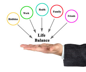  Life Balance: Hobbies,.Work,.Health,.Family, and.Friends