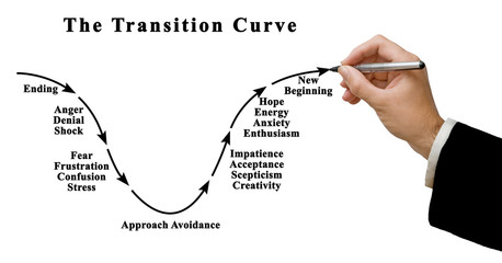 Changing Emotions during Transition Curve