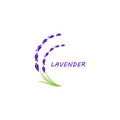 lavender floral aromatic logo vector icon illustration