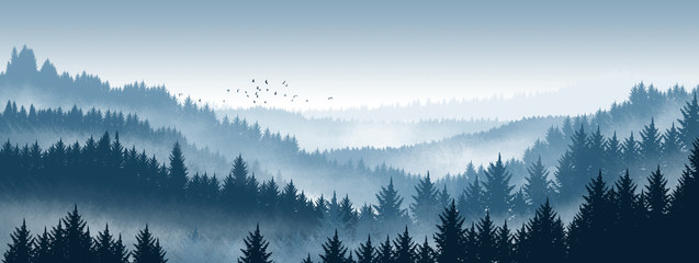 Fototapeta na wymiar Pine forest illustration background in Blue Mountains，Forest illustration