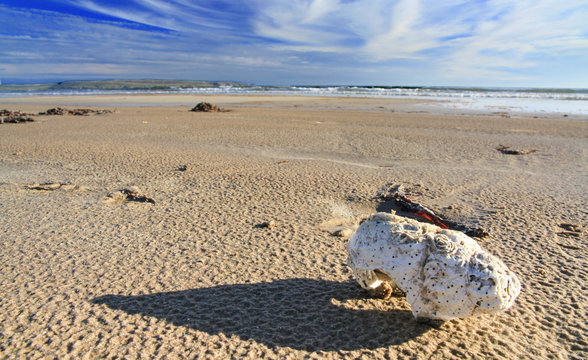 Wolkenwirbel &uuml;ber einer Bucht mit Sandstrand und Strandgut im Vordergrund
