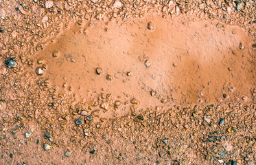 colorful brown ground with water