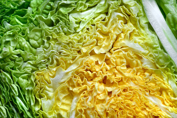 chinese napa cabbage cut macro photo background