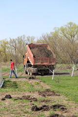 Moscow region Russia-may 2020: the dump truck brought the land and empties it, the dump truck unloads the fertile black soil, spring farm work
