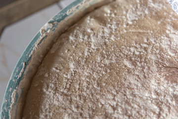 homemade leavened dough, fermented dough