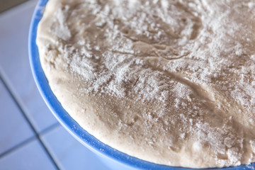 homemade leavened dough, fermented dough