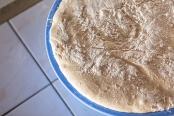 homemade leavened dough, fermented dough