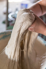 homemade leavened dough, fermented dough