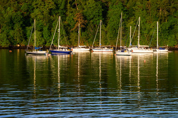 Fototapeta na wymiar Sailboats in a bay with forest in evening light