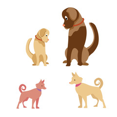 Dog breed Labrador. A young and friendly dog. Light color. Sits and looks away.