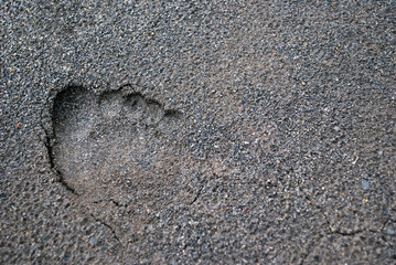 Footprint on soil