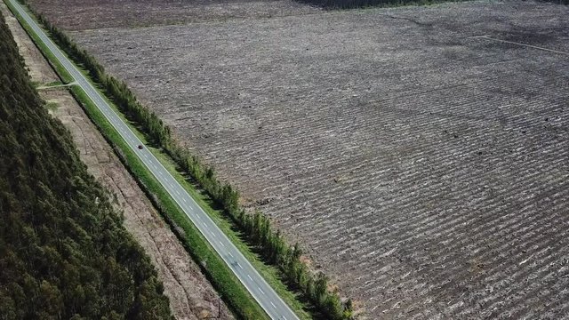 Birdseye Aerial View of Road Netween Thick Forest and Massive Deforested Ground in Countryside of Chile