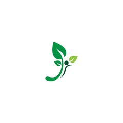 Leaf icon logo template