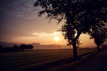 Sonnenaufgang auf dem Land