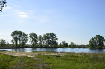 lake in the park