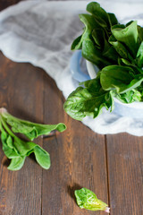 Fresh green spinach leaves