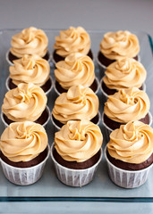 Chocolate cupcakes with peanut butter cream cheese frosting on glass tray. Plain grey background