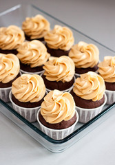 Chocolate cupcakes with peanut butter cream cheese frosting on glass tray. Plain grey background
