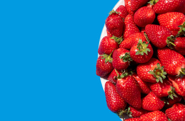 Fresh strawberries in a plate isolated on a blue background. Top view of a strawberries on the...