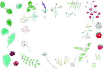 葉と木の実の水彩モチーフのフレーム