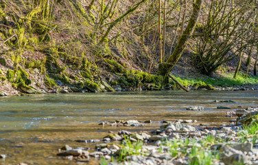 small river at spring time