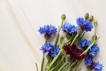 greeting card. a bouquet of blue cornflowers and an envelope. space for text. invitation