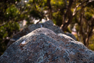 Shallow depth of field shot showing a rock mostly covered in moss. Rock on the top of a hill