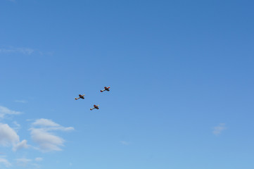 a three-sport aircraft in the blue sky