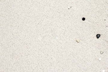 Sea beach sand texture background