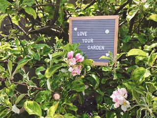 Love your garden. Gardening concept with felt letter board in the branches of an dwarf apple tree with blossom flowers and green foliage. Selective focus view with blurry background and copy space.