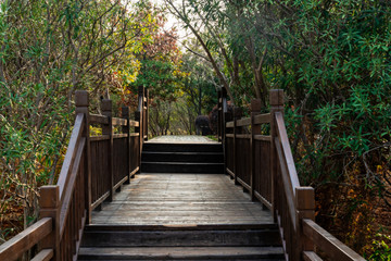 boardwalk in the City Park