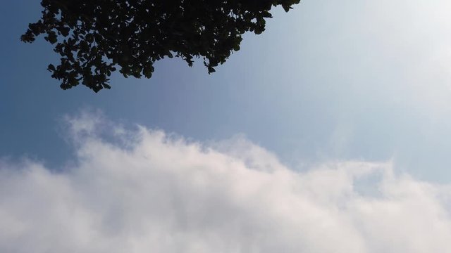 tilt down movement of the blue sky with clouds to the leme beach in rio de janeiro.