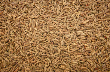 Surface covered with cumin seeds as a backdrop texture composition
