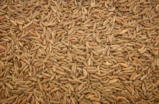 Surface covered with cumin seeds as a backdrop texture composition