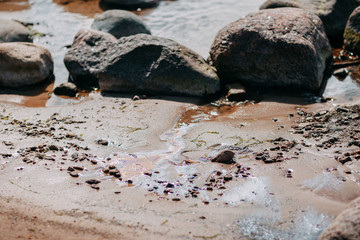 Ocean shore, sand and rocks on the sea coast. Ocean pollution with fuel, oil.