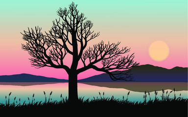 Obraz premium silhouette of tree