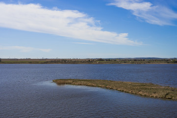 blue river with trees against the blue sky