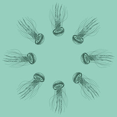 Seamless pattern of a jellyfish. Aqua mint color. Doodle hand-draw illustrations in vector. Design for background, packaging, weddings, fabrics, textiles, wallpaper, website, postcards.