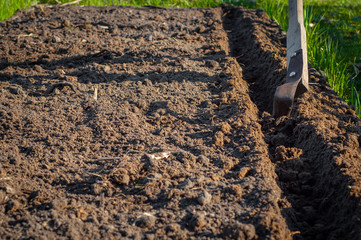 The universal irreplaceable garden tool Fokin's plane cutter in work