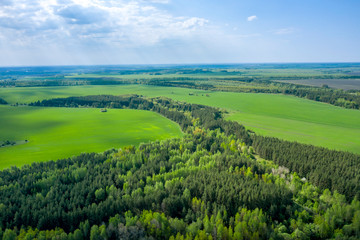 Obraz premium Aerial photography of a beautiful landscape of spring agricultural fields with bright green shoots of grain crops