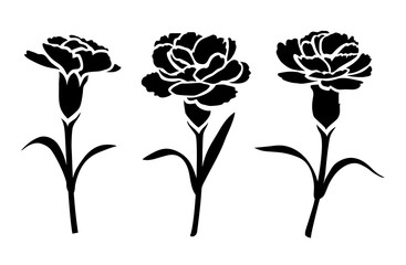 Flower icon. Set of decorative carnation silhouettes isolated on white. Vector stock illustration. - 348443858