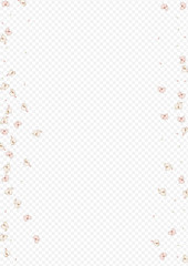 Red Flower Beauty Vector Transparent Background. 