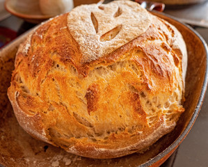 Freshly made Sourdough bread. The freshly made sourdough loaf sits a cloth covered table in a rustic kitchen. The bread has a golden crusty outside.