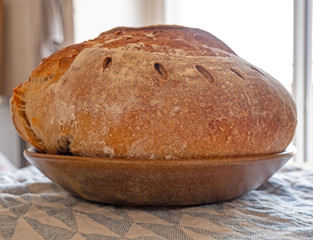 Freshly made Sourdough bread. The freshly made sourdough loaf sits a cloth covered table in a rustic kitchen. The bread has a golden crusty outside.